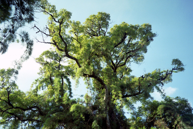 66 012_12_2001 2 of 7