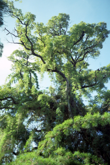 67 013_13_2001 2 of 7