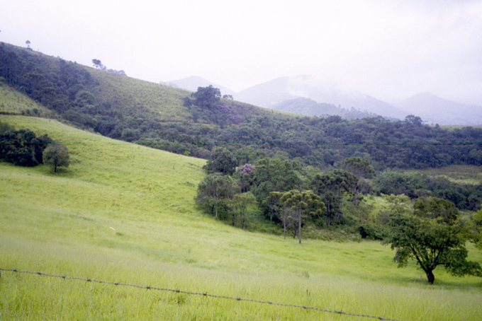 73_2002_BR_SP_DrJP_020_20