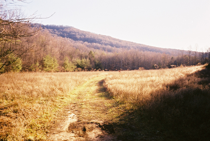 31_0261979-R1-006-1A