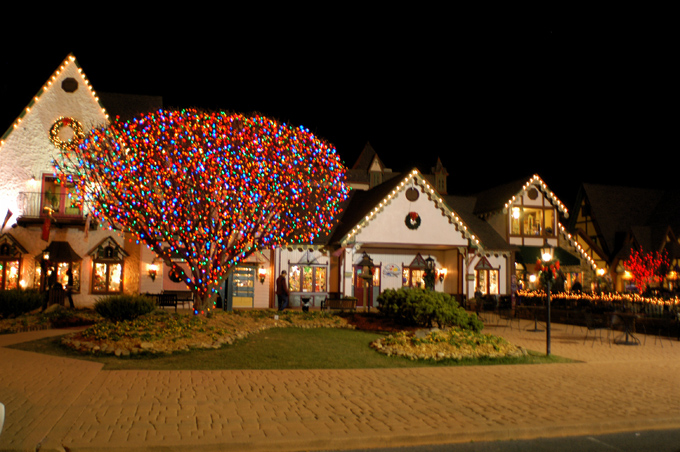 06.12 DSC_0029 out o#C4EB95