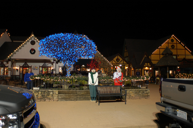 06.12 DSC_0030 out o#C4EB96