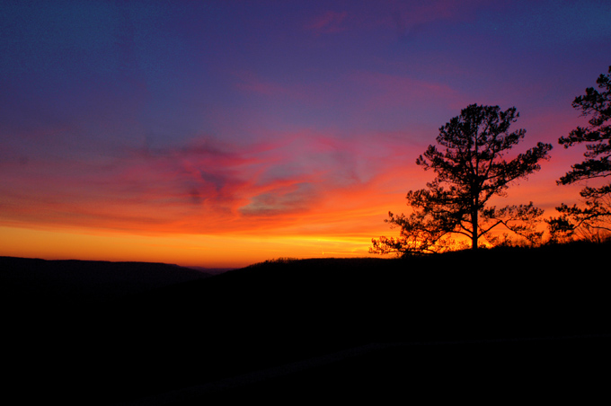 06.12 DSC_0040 2006 #C4EB10