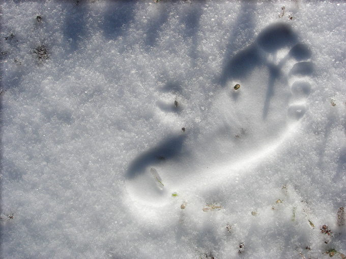 06.12 snowprint2