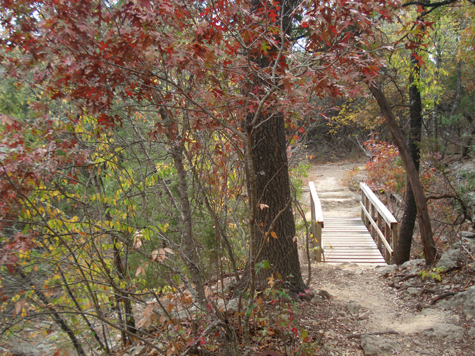 08.11 DSC00113 Eisen#C50680