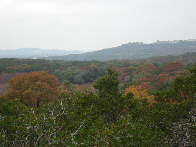 08.11 DSC00122 Eisen#C50686