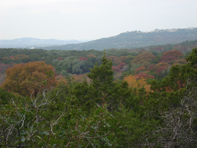 08.11 DSC00123 Eisen#C50687