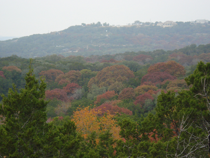 08.11 DSC00124 Eisen#C50688