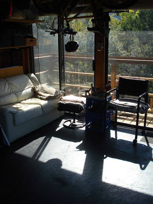 08.11 DSC00011 Home Garden