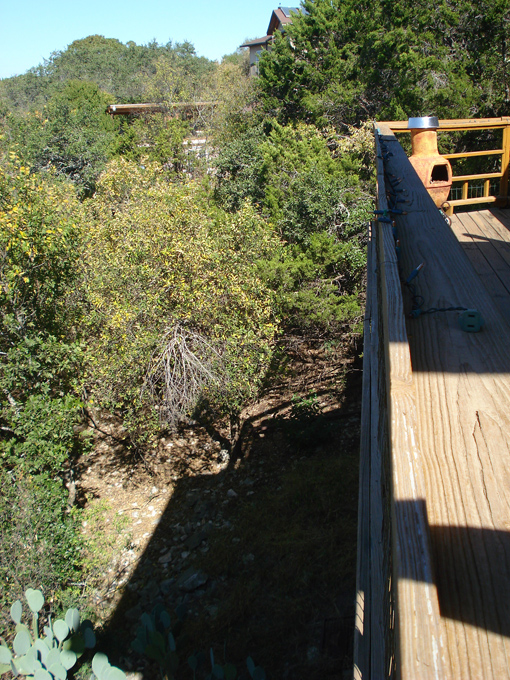 08.11 DSC00015 Home Garden