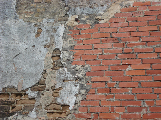 09.04 DSC00513 Grist#C52BA0