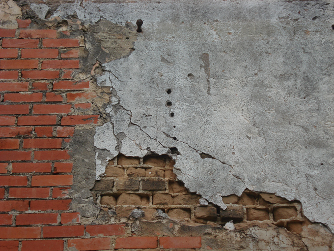 09.04 DSC00514 Grist#C52BA1