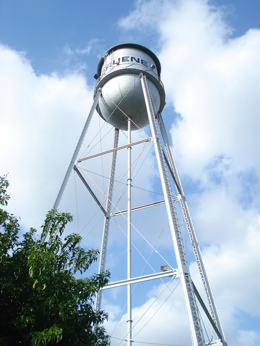 09.04 DSC00519 Grist#C52BA6