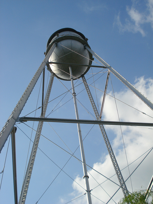 09.04 DSC00521 Grist#C52BA7