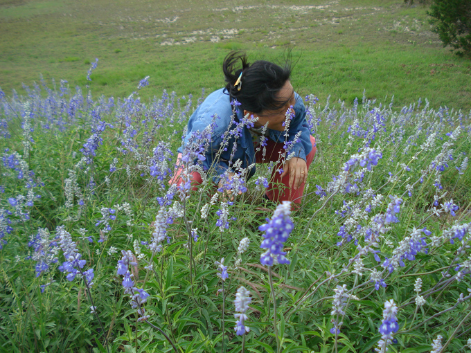 09.04 DSC00591 Blue Laveder