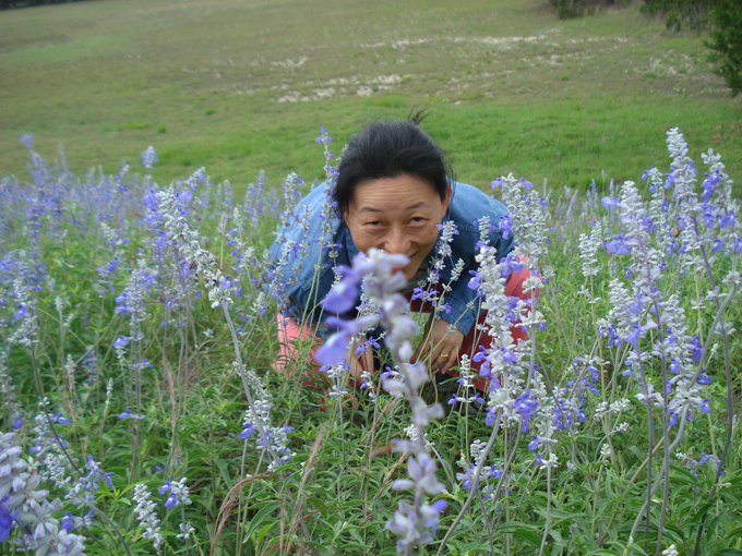 09.04 DSC00594 Blue Laveder