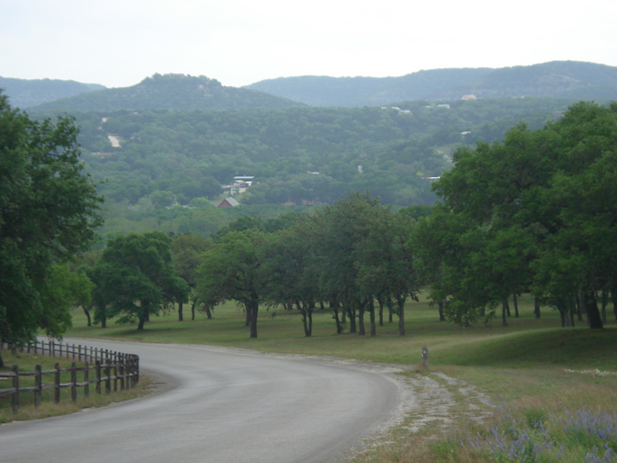 09.04 DSC00599 Blue Laveder