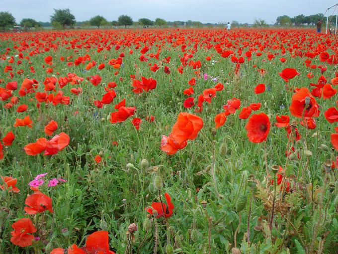 09.04 DSC00604 Store#C52C28