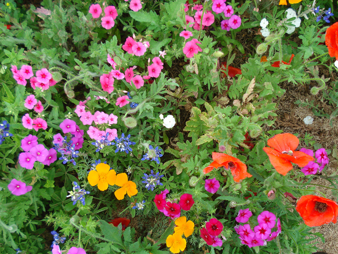 09.04 DSC00620 Store#C52C38