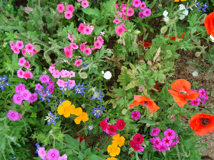 09.04 DSC00621 Store#C52C39