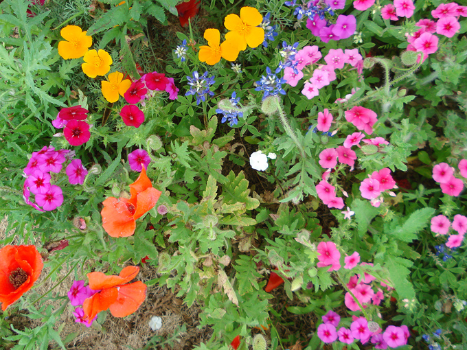 09.04 DSC00622 Store#C52C3A