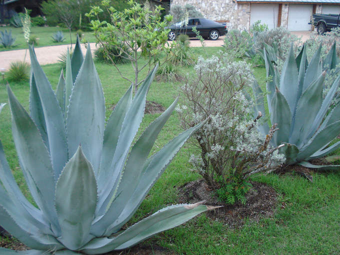 09.04 DSC00903 Mom Joyce