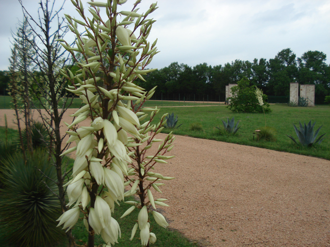 09.04 DSC00906 Mom Joyce