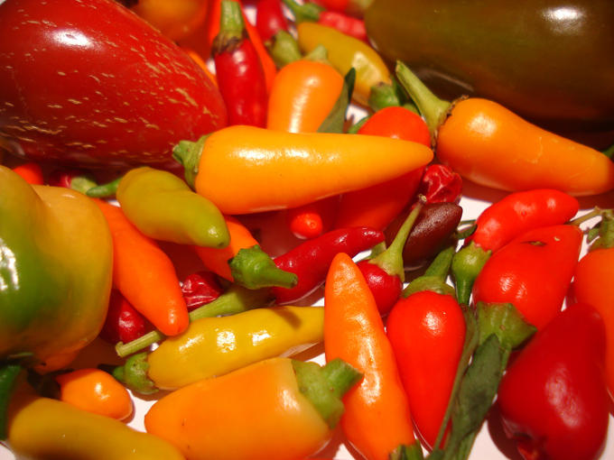 09.10 DSC01504 peppe#C531E9