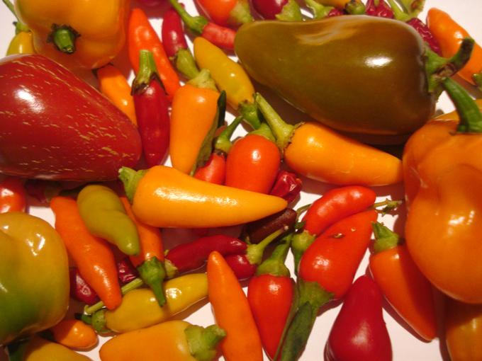 09.10 DSC01506 peppe#C531EA