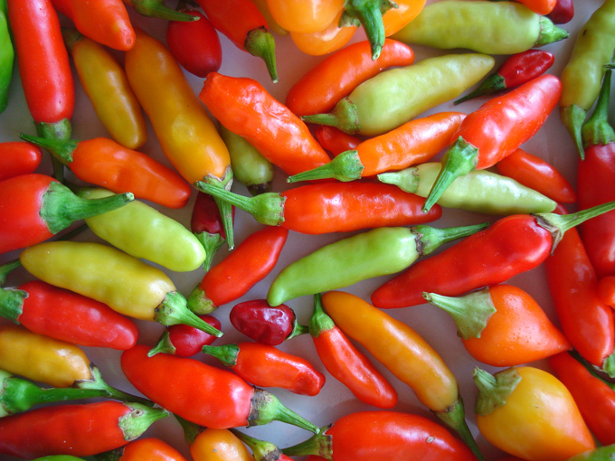 09.11 DSC01728 picke#C531F5