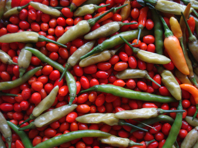 09.12 DSC01831 picke#C531F8