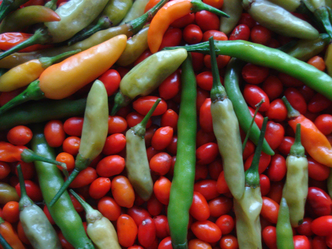 09.12 DSC01839 picke#C531F9