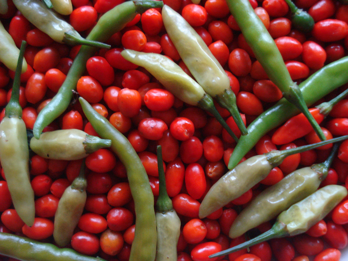 09.12 DSC01841 picke#C531FA