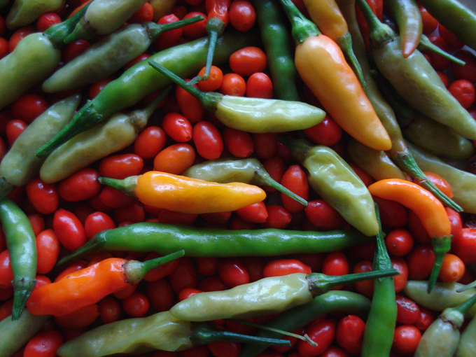 09.12 DSC01843 picke#C531FB