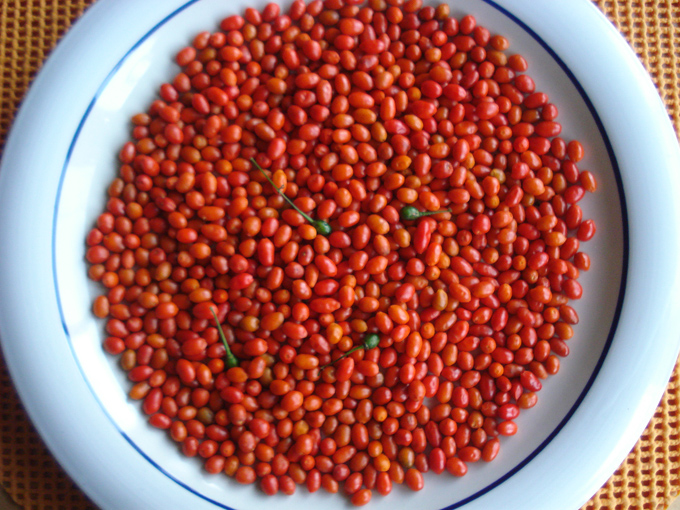 09.12 DSC01850 picke#C531FC