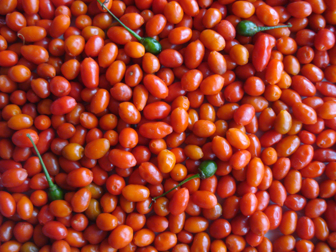 09.12 DSC01852 picke#C531FD