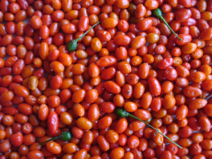 09.12 DSC01858 picke#C531FF