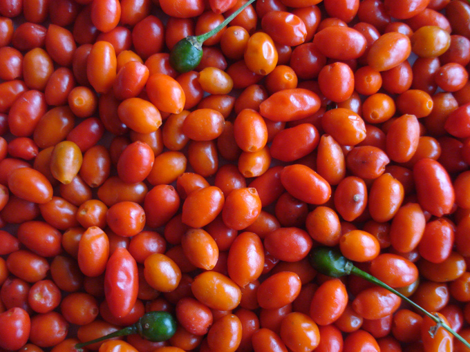 09.12 DSC01859 picke#C53200