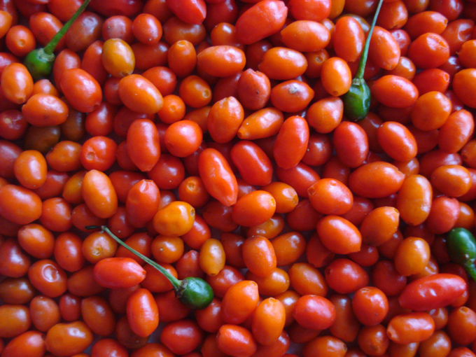 09.12 DSC01861 picke#C53201