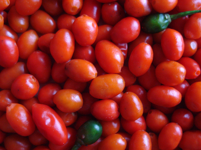 09.12 DSC01862 picke#C53202