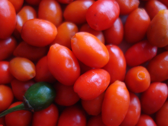 09.12 DSC01865 picke#C53203