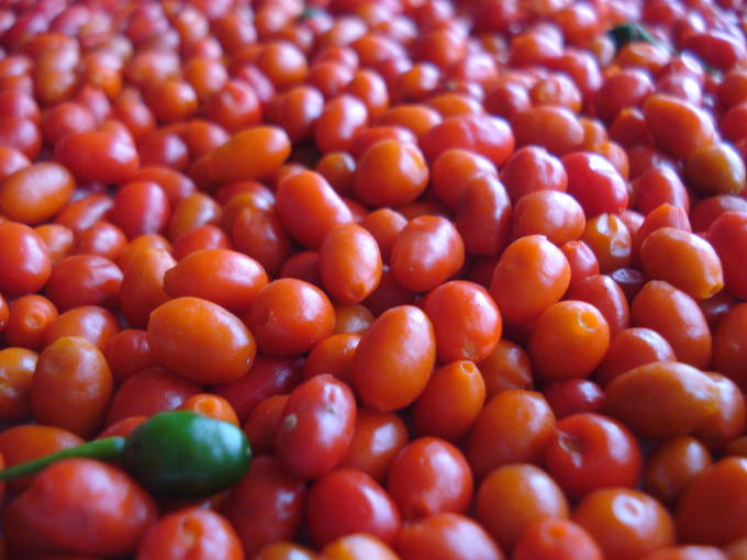 09.12 DSC01871 picke#C53205