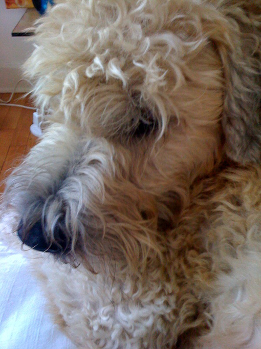 2009 09.08 Kirk Roffie