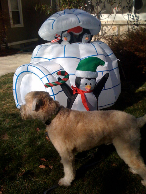 2009 09.12 Kirk Deb #C53308