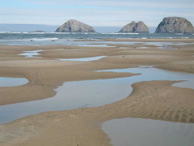 2010 10.08 Kirk IMG_4743_3