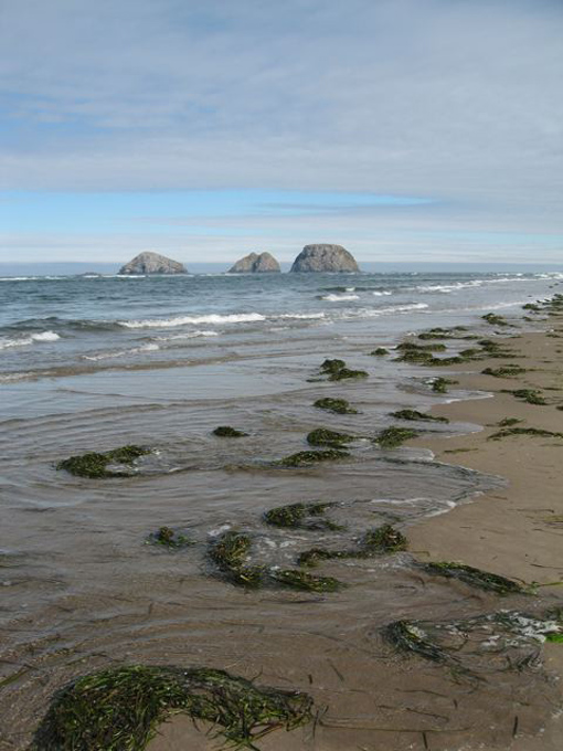 2010 10.08 Kirk IMG_4747