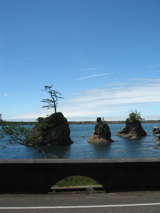 2010 10.08 Kirk IMG_4786_2