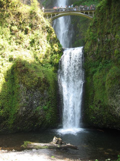 2010 10.08 Kirk IMG_4810_2