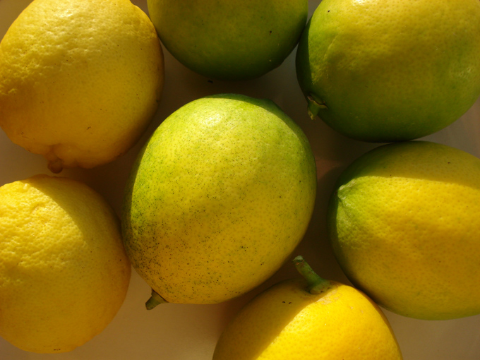 10.10 Citrus 2c 10.2#C8E66F