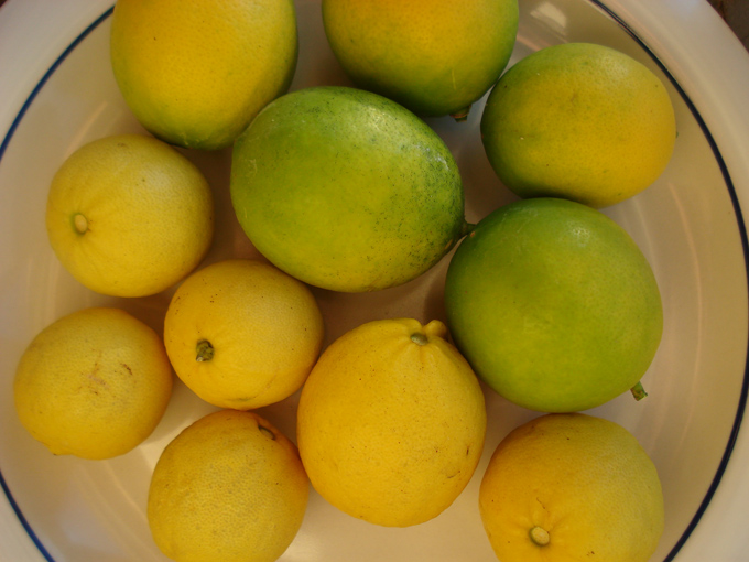 10.10 Citrus 2c 10.2#C8E67F